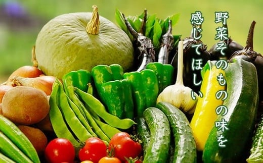 「塩だけで美味しい」本物の味、旬野菜をぜひ。