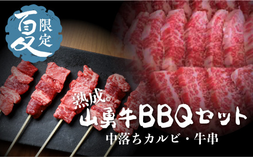 
【夏季限定】飛騨牛 BBQセット 中落カルビ 切落し 500g 牛串５本セット バーベキュー 牛肉 和牛
