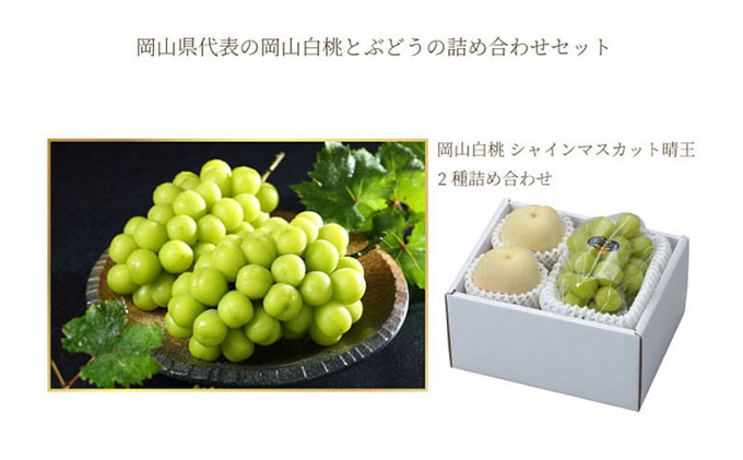岡山白桃 ロイヤル 2玉×約200g（Lサイズ、早生種・中生種）シャインマスカット 晴王 1房約400g 詰合せ 岡山県産 果物類 ぶどう ブドウ 種無し もも モモ フルーツ デザート 食後 おやつ