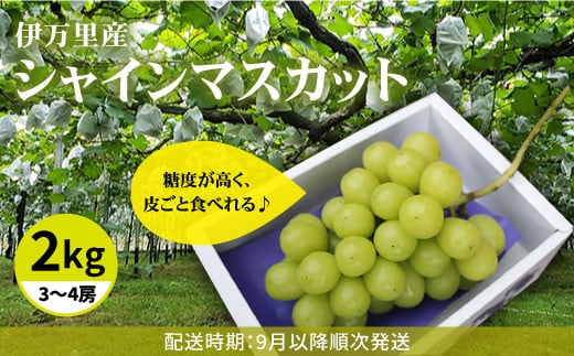 
[伊万里産]山和農園のシャインマスカット2kg（3～4房）
