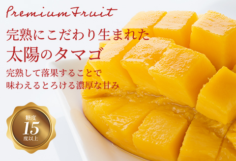 《2026年発送先行予約》【数量・期間限定】宮崎県産完熟マンゴー「太陽のタマゴ」A3L(2玉入り) 宮崎県産 国産 太陽のタマゴ マンゴー 完熟マンゴー 完熟 A3L 2玉 フルーツ 果物 くだもの 