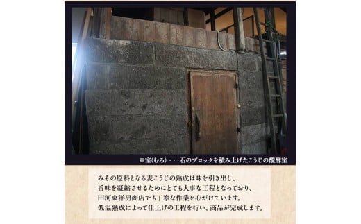「田河東洋男商店」 ふるさと 簡単味噌汁ギフト 14g×20食分 《14日以内に出荷予定(土日祝除く)》 熊本県氷川町産---sh_tagawamiso_z_21_14000_20p---