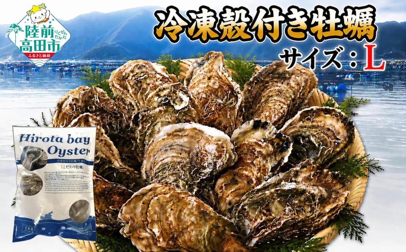 三陸産冷凍殻付き牡蠣 1kg（サイズ：L） 生食用 牡蠣