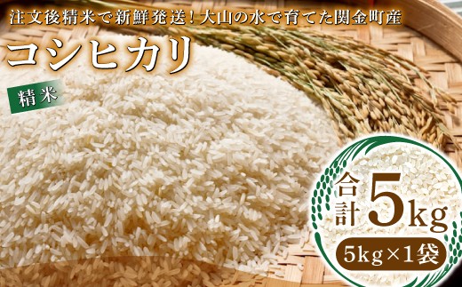 
                  【数量限定】大山の水で育てた関金町産 コシヒカリ 5kg
                