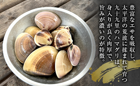 はまぐり 1kg～ BBQ 吸い物 はまぐり