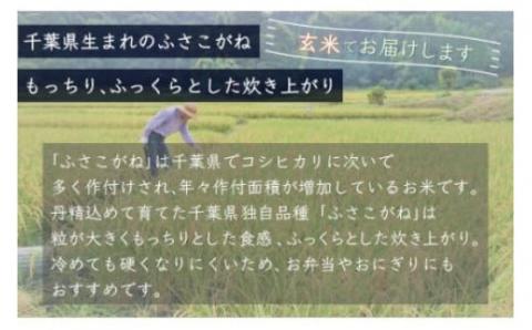 【新米先行受付】令和6年産 千葉県産「ふさこがね」玄米10kg（10kg×1袋） A012