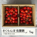 【ふるさと納税】 【農業者支援】《先行予約》2025年 山形県産 さくらんぼ 佐藤錦 バラ詰 1kg 秀 M 小さめ サクランボ フルーツ 果物 F21A-336