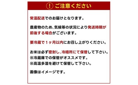 先行予約 令和8年産 米 コシヒカリ 5kg 精米 鹿嶋市産