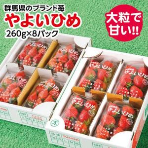 【2025年2月以降順次発送】群馬県産やよいひめ　(いちご)260g×8パック【配送不可地域：離島】【1378623】