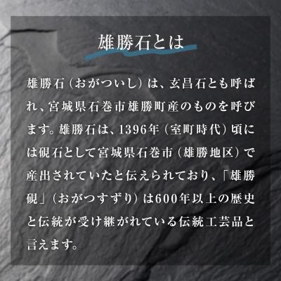 ふるさと納税 石巻市 【雄勝石】皿 セット 石皿 230×140 ラフカット 長皿 食器 角皿 スレートプレート 天然石 |  | 02