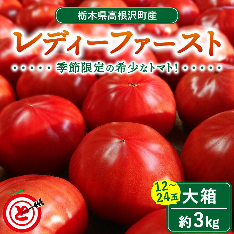 【ふるさと納税】高根沢町産トマト「レディーファースト」　大箱（約3kg　12〜24玉） ｜ トマト とまと 野菜 やさい 人気 甘い 季節限定 希少 薄皮 国産 厳選 産地直送 新鮮 ハート型 送料無料 ※北海道・沖縄・離島への配送不可 ※2026年1月上旬〜3月下旬頃に順次発送予定