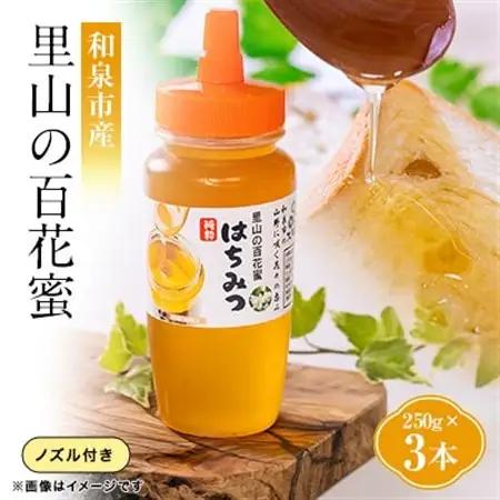 道の駅で大人気のハチミツ(250gノズル付きボトル　3本)【1657718】