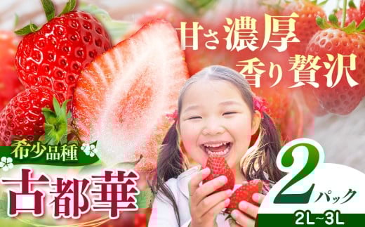 平群の古都華 2L～3Lサイズ （2パック 1ケース） 計2パック OKADAファーム | 果物 くだもの フルーツ 苺 イチゴ いちご ストロベリー 古都華 ことか 旬の品種 フードロス 産地直送 奈良県 平群町 1月発送 2月発送