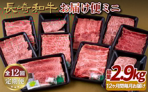 《定期便》長崎和牛お届け便ミニ(12回)