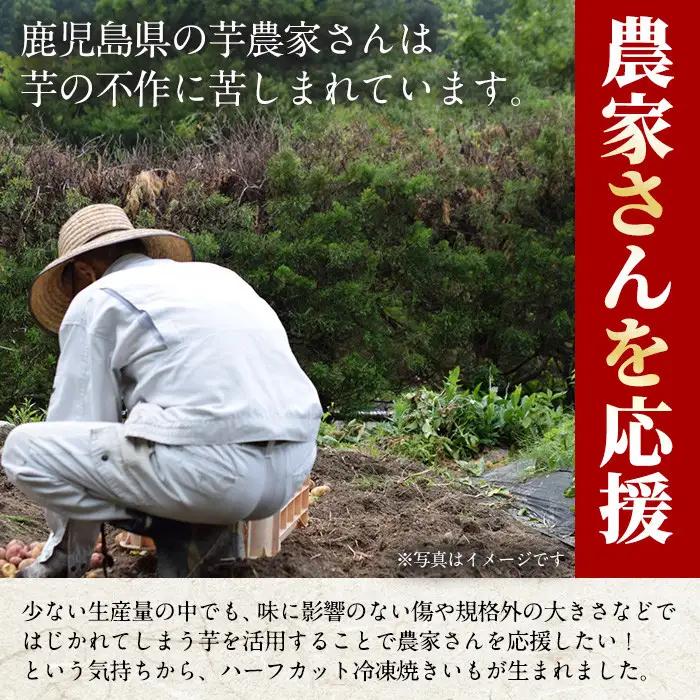 No.1344 ＜定期便＞＜訳あり・規格外＞ハーフカット 紅はるか 冷凍焼きいも (計5.4kg以上・600g×3袋×3回) 国産 九州産 サツマイモ さつま芋 訳アリ 規格外 紅春香 芋 焼き芋 や