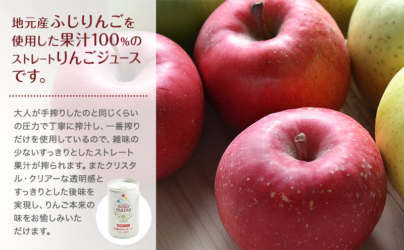《 定期便 6ヵ月 》 りんごジュース「sonomama」（160g×5本）×2箱 りんご リンゴ ジュース リンゴジュース 飲料