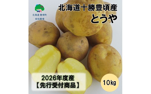 北海道十勝豊頃産とうや10kg 【2026年秋出荷】（先行受付）［安田農場］