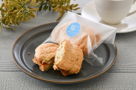 [K045] 能登塩ダクワーズ詰合せセット（10個入）
