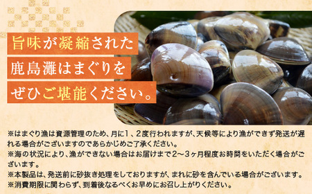大洗産鹿島灘天然はまぐり 3㎏ 冷蔵 お吸い物 ハマグリ 蛤 貝 砂抜き処理 魚介類 大洗産 天然 はまぐり_BQ012