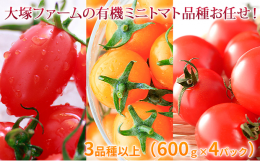 
大塚ファームの有機ミニトマト3品種以上（600g×4P）
