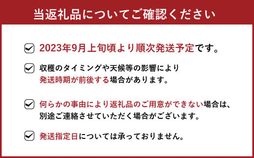 【2023年9月上旬より順次発送】秋月 梨 約5kg (8～13玉)