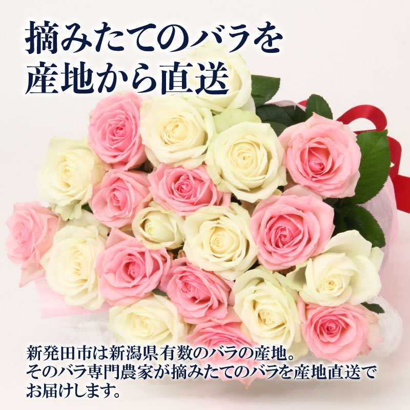 花束 定期便 4回 バラ おまかせ 25本 花 生花 hana ブーケ 薔薇 ローズ お任せ ミックス MIX フラワーアレンジメント フラワー 雑貨 インテリア 人気 記念日 誕生日 母の日 父の日