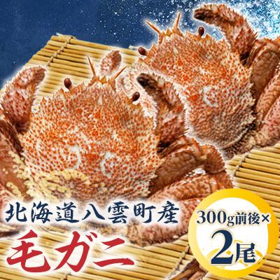 ふるさと納税 八雲町 噴火湾産毛ガニ　300g前後×2尾