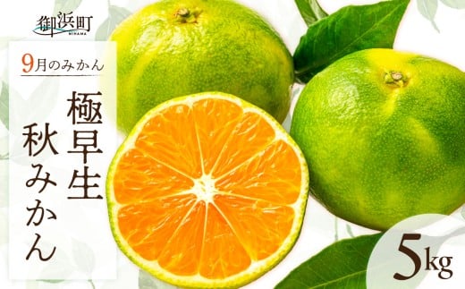 9月の御浜柑橘　秋みかん5キロ【先行予約 期間限定 果物 フルーツ みかん 極早生 極早生みかん 5kg マルチ栽培 三重県 御浜町】