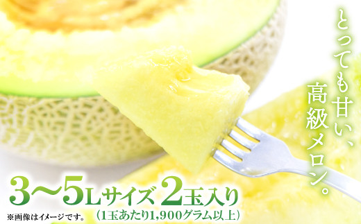 先行予約・数量限定！夏作アールスメロン 3L～5Lサイズ 2玉(*´▽｀*)