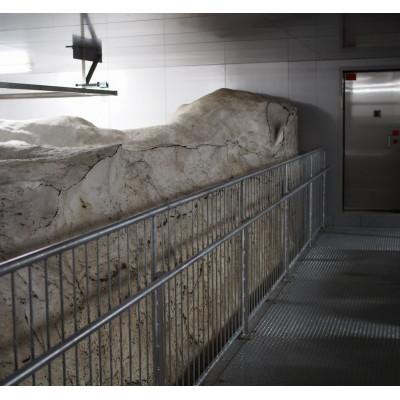ふるさと納税 上越市 【毎月定期便】雪むろ棚田米-新之助5kg(5kg×1袋)玄米-新潟県上越市安塚区産-全6回 |  | 03