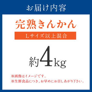 完熟きんかん/金柑 4kg 秀品 Lサイズ以上≪先行予約2027年2月頃より順次発送分≫【0375-5】