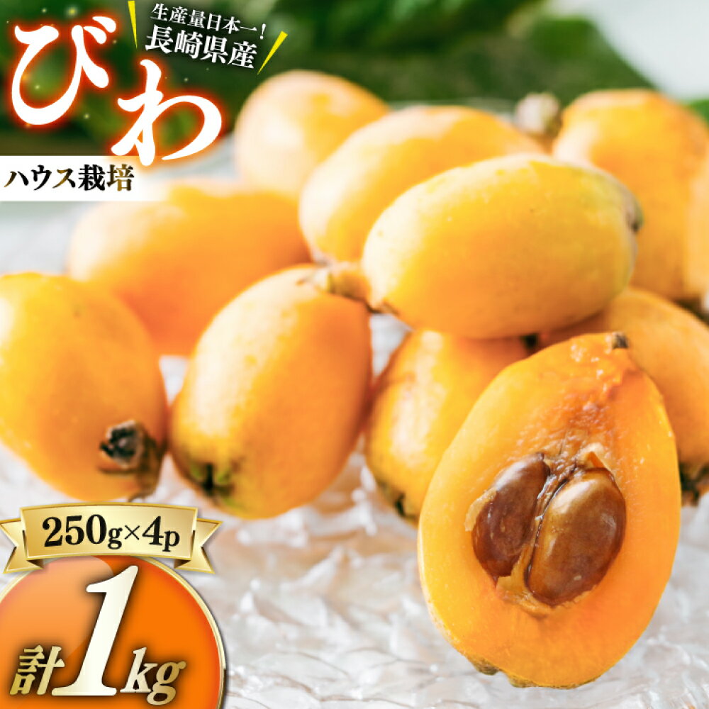 【ふるさと納税】先行予約 温室ハウス栽培 びわ 約250g×4パック（2L～M）計約1kg ビワ 枇杷 果物 くだもの フルーツ ハウス栽培 1キロ 国産 九州 長崎県 長崎市 送料無料【2026年4月上旬～5月上旬発送予定】