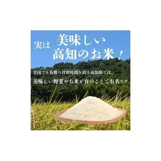 数量限定 新米 コシヒカリ 3kg 令和6年 白米 精米 米 こしひかり ブランド米 国産 高知県 須崎 しんじょう君 産地直送 国産新米