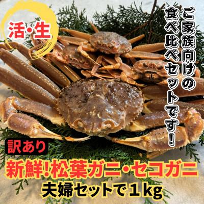 ふるさと納税 岩美町 鳥取網代港【訳あり】活!松葉ガニ・セコガニ1kgセット【さかなや新鮮組】