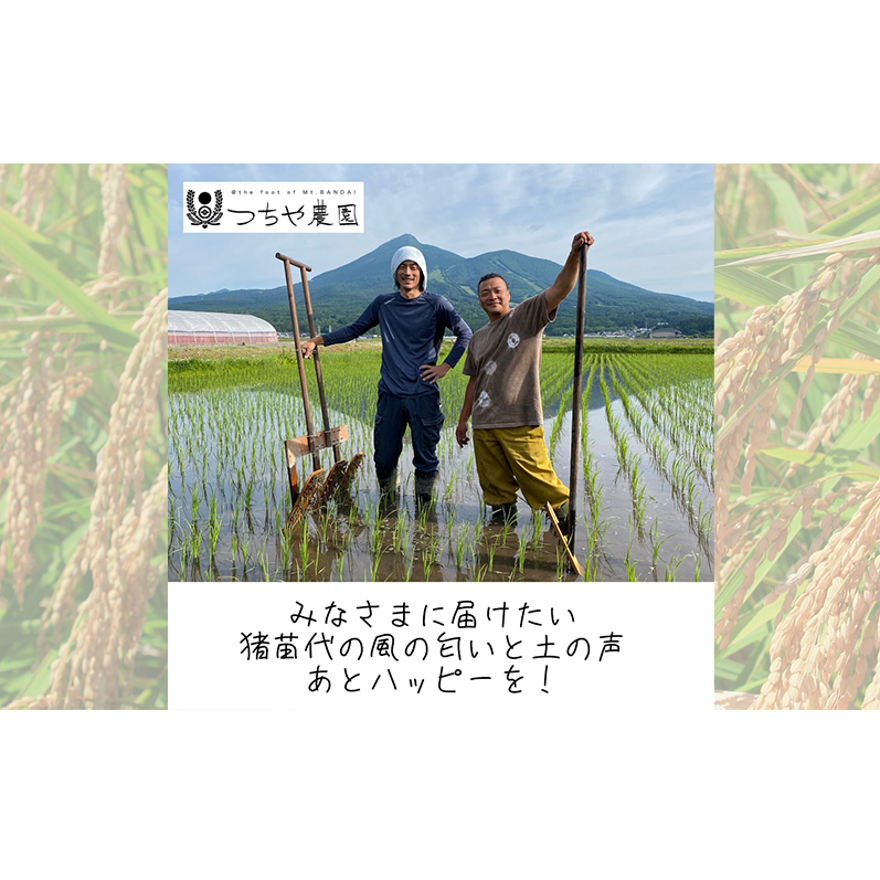 【令和5年産】猪苗代町産 特別栽培米コシヒカリ 10kg（精米）_イメージ3