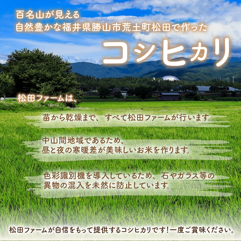【先行予約】令和8年産 梅花藻が群生する清流で育てたコシヒカリ（玄米 5kg×1袋）※2026年9月下旬以降順次発送予定 [A-040028]