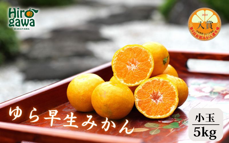 ▼由良早生みかん 5kg（小玉） ※2025年11月上旬～順次発送予定 【tkn004-s-5】