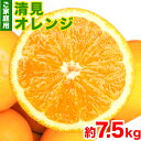 【ふるさと納税】【ご家庭用訳アリ】 紀州有田産清見オレンジ 約7.5kg 株式会社魚鶴商店《2025年3月上旬-4月上旬頃出荷》 和歌山県 日高川町 オレンジ 柑橘 ご家庭用 フルーツ