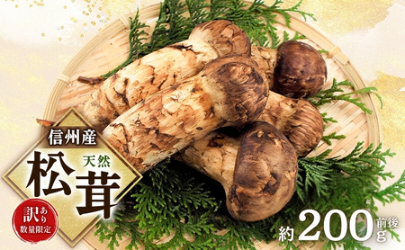 松茸 訳あり 数量限定 信州産 天然 約200g前後 松茸 