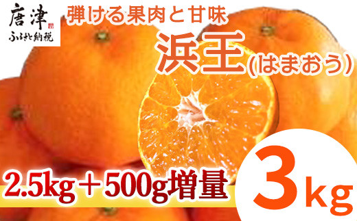 『先行予約』【令和9年1月下旬発送】浜王(はまおう) ハウス栽培 唐津産 3kg 口之津(くちのつ) 39号みかん フルーツ 果物 柑橘 かんきつ
