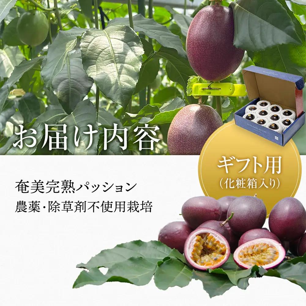 期間限定【農薬不使用】奄美大島 完熟パッションフルーツ約1kg（農家直送）｜食品微生物　バイオスティミュラント　土壌フローラの改善　点滴潅水　皇室献上　送料無料　国産　無農薬