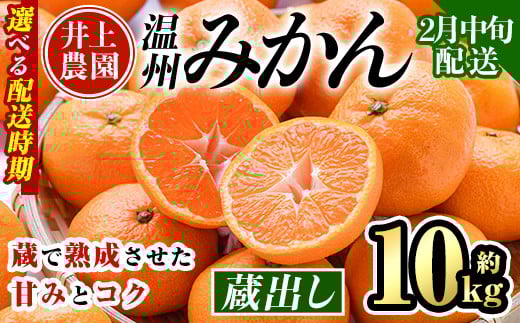 ＜2月中旬より順次発送予定＞大分県宇佐市産 蔵出し みかん(約10kg)ミカン 蜜柑 柑橘 フルーツ 果物 くだもの 果実 国産 熟成【103690400】【井上農園】