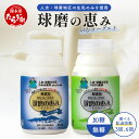 【ふるさと納税】【回数と味が選べる 定期便 】球磨の恵み のむヨーグルト ≪ 加糖 ≫≪ プレーン ≫ 150g×25本× 3回配送 6回配送 詰め合わせ 熊本県 多良木町 乳製品 生乳 乳酸菌 高評価 人気 贈り物 お取り寄せ スイーツ ドリンク 飲むヨーグルト 定期便 新鮮 送料無料