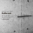 【ふるさと納税】KaBerest［カベレスト］ 後付けできるステンレスウォールシェルフ 幅300mm | 雑貨 日用品 人気 おすすめ 送料無料