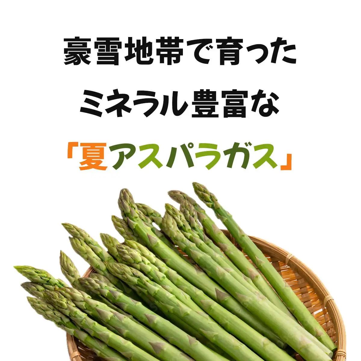 【令和8年産】北海道岩見沢産 夏グリーンアスパラ L～2Lサイズ 1kg【41104】