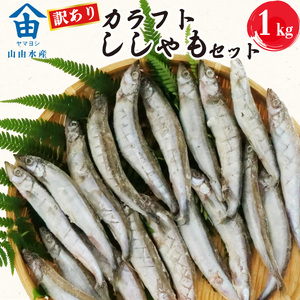 訳あり ししゃも 1kg カラフト 丸干し 干物 訳あり OR FN-SupportProject OR 増量 OR 年末企画 訳あり OR FN-SupportProject OR 増量 OR 年末企画 訳あり OR FN-SupportProject OR 増量 OR 年末企画
