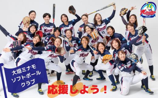 大垣ミナモソフトボール JDリーグ入場券引換券 (2枚)