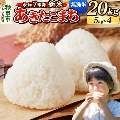 ふるさと納税 秋田市 《令和7年産新米先行受付》 あきたこまち 20kg 無洗米|15_mge-012001m