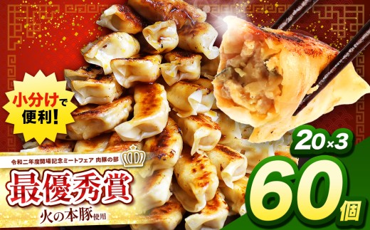 火の本豚餃子 （20個×3パック）60個入 | 熊本県 熊本 くまもと 和水町 なごみ 豚肉 火の本豚 地域ブランド ギョウザ ぎょうざ 20個 3パック 60個 冷凍餃子