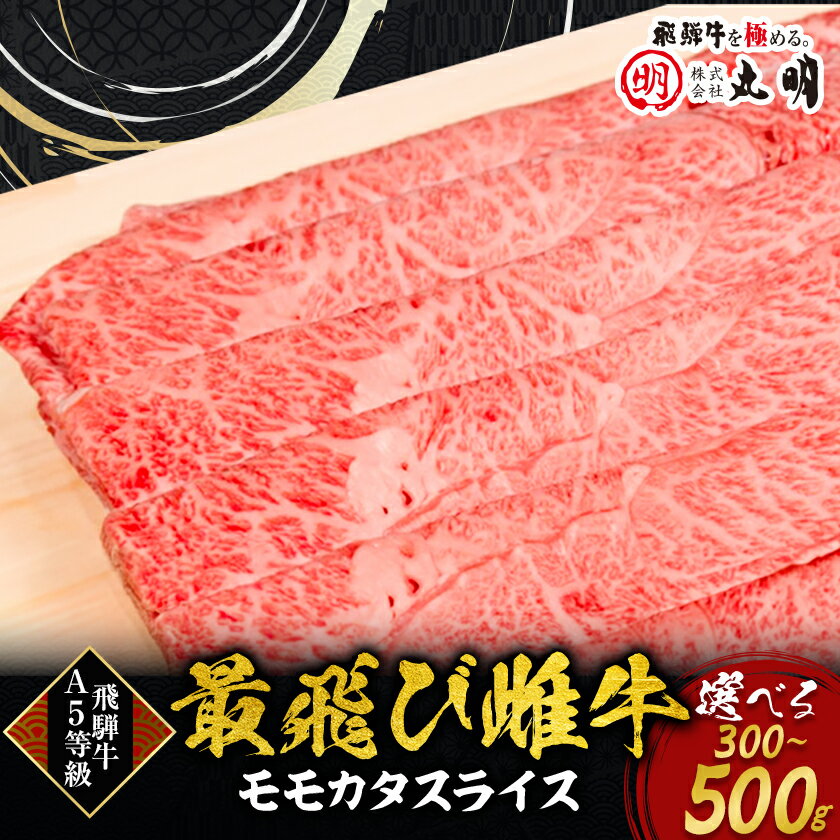 【ふるさと納税】【最飛び雌牛】飛騨牛A5等級モモカタスライス　300g【配送不可地域：離島】【1520139】